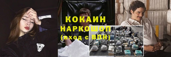 шишки Аркадак