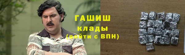 шишки Аркадак