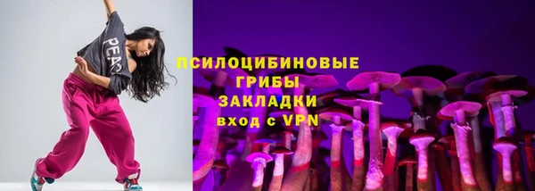 герыч Арсеньев