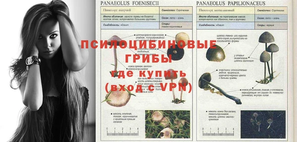 каннабис Армянск