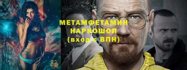 шишки Аркадак