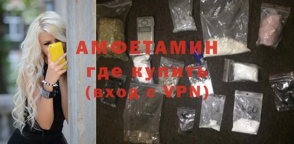 шишки Аркадак