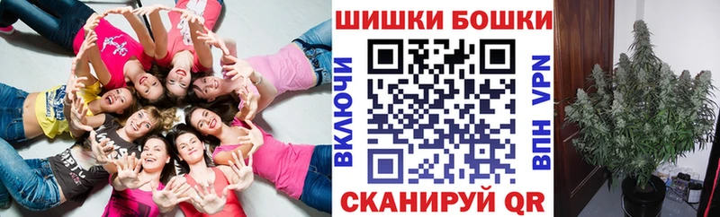 Каннабис план закладка МЕГА tor Бронницы